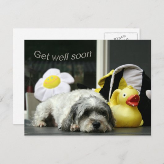 bald wieder gesund werden postkarte (Vorne/Hinten)