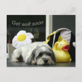 bald wieder gesund werden postkarte (Vorderseite)