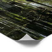 Baldachin-Zypressen in Sumpf Poster (Ecke)