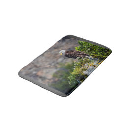 Baldadler auf dem Felsen Badematte