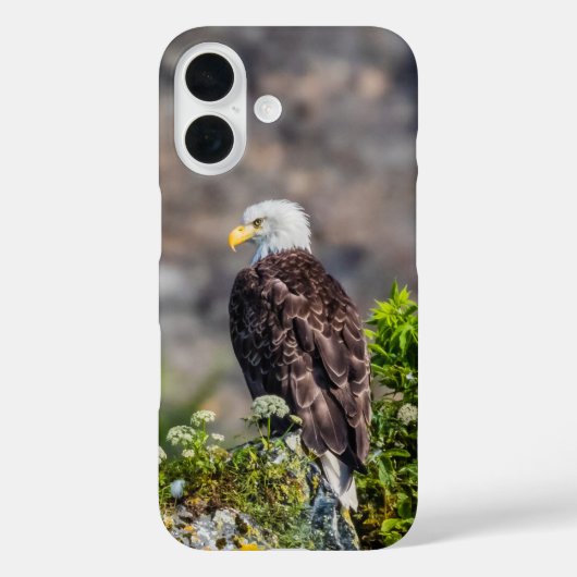 Baldadler auf dem Felsen Case-Mate iPhone Hülle (Rückseite)