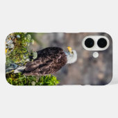 Baldadler auf dem Felsen Case-Mate iPhone Hülle (Rückseite (Horizontal))