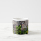 Baldadler auf dem Felsen Espressotasse (Vorderseite)