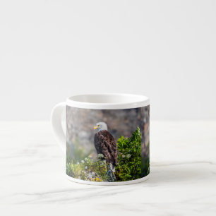 Baldadler auf dem Felsen Espressotasse