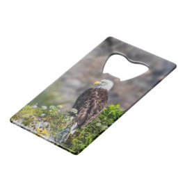 Baldadler auf dem Felsen Geldbeutel Flaschenöffner