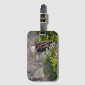 Baldadler auf dem Felsen Gepäckanhänger (Vorderseite Vertikal)