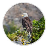 Baldadler auf dem Felsen Keramikknauf (Vorderseite)