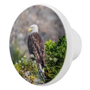 Baldadler auf dem Felsen Keramikknauf