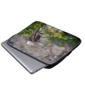 Baldadler auf dem Felsen Laptopschutzhülle (Vorne Knopf)