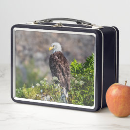 Baldadler auf dem Felsen Metall Brotdose