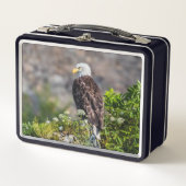 Baldadler auf dem Felsen Metall Brotdose (Vorderseite)