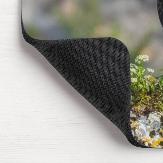 Baldadler auf dem Felsen Mousepad (Ecke)
