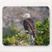 Baldadler auf dem Felsen Mousepad (Vorne)
