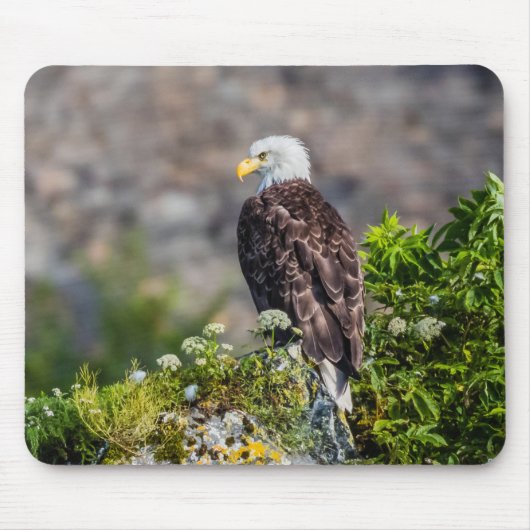 Baldadler auf dem Felsen Mousepad (Vorne)