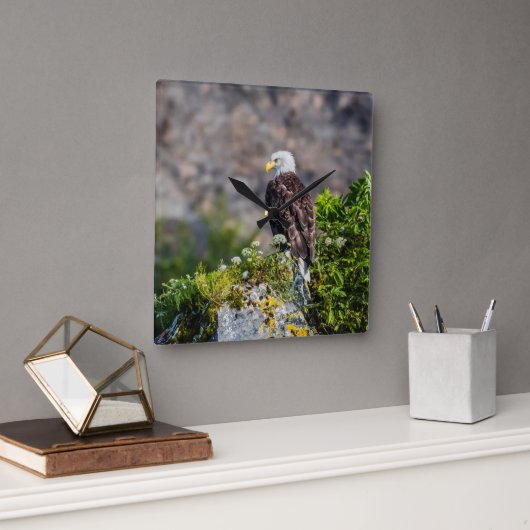 Baldadler auf dem Felsen Quadratische Wanduhr (Büro)