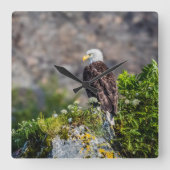 Baldadler auf dem Felsen Quadratische Wanduhr (Vorderseite)