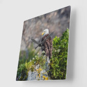 Baldadler auf dem Felsen Quadratische Wanduhr (Winkel)