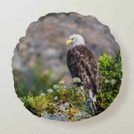 Baldadler auf dem Felsen Rundes Kissen