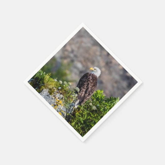 Baldadler auf dem Felsen Serviette (Ecke)