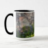 Baldadler auf dem Felsen Tasse (Links)