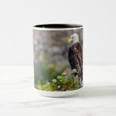 Baldadler auf dem Felsen Tasse (Zentrum)