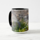 Baldadler auf dem Felsen Tasse (Vorderseite Links)