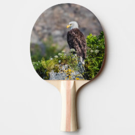 Baldadler auf dem Felsen Tischtennis Schläger