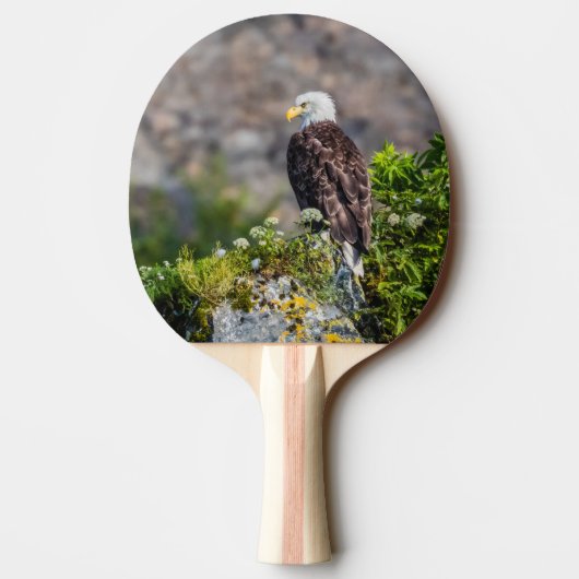 Baldadler auf dem Felsen Tischtennis Schläger (Rückseite)