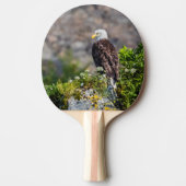 Baldadler auf dem Felsen Tischtennis Schläger (Vorderseite)