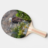 Baldadler auf dem Felsen Tischtennis Schläger (Seitenansicht)
