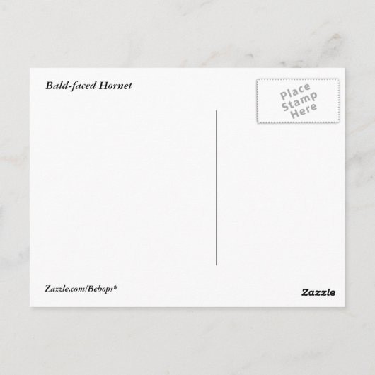 Baldgesicht Postkarte (Rückseite)