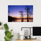 Baldkypresspalmen, bei Sonnenuntergang silhouettie Poster (Heimbüro)