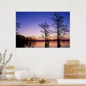 Baldkypresspalmen, bei Sonnenuntergang silhouettie Poster (Küche)