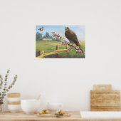 Baldpate Red Schwanzes Print Poster (Küche)