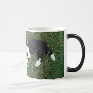 Baldwin Bauernhof-verwandelnde Tasse