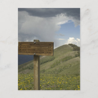 Baldy Peak Postkarte