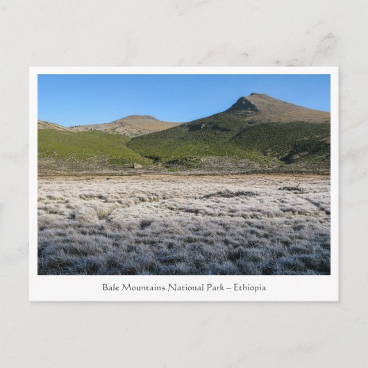 Bale Mountains Äthiopien Postkarte (Vorderseite)