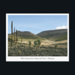 Bale Mountains Äthiopien Postkarte<br><div class="desc">Landschaftsbild Foto des Bale Mountains Nationalpark im Hochland von Äthiopien,  Afrika. Foto © Sebastian Wurm.</div>
