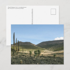 Bale Mountains Äthiopien Postkarte
