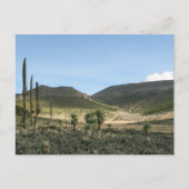 Bale Mountains Äthiopien Postkarte (Vorderseite)