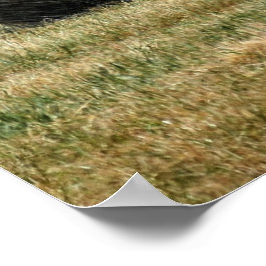 Bales von Hay Poster (Ecke)