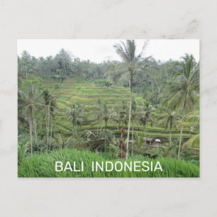 Bali Indonesia Postcard Postkarte