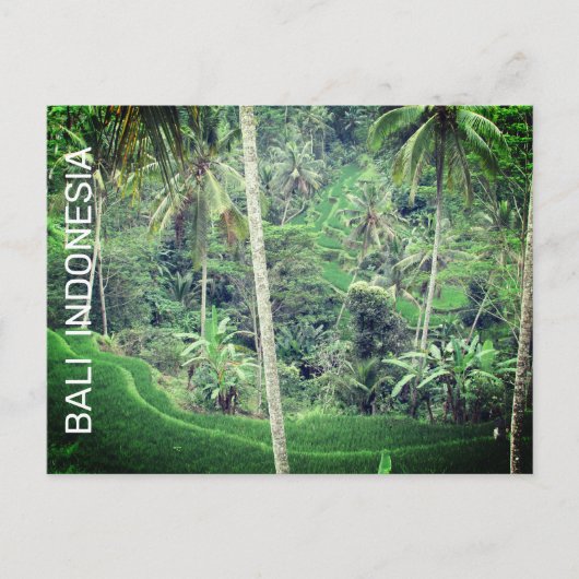 Bali Indonesia Postcard Postkarte (Vorderseite)
