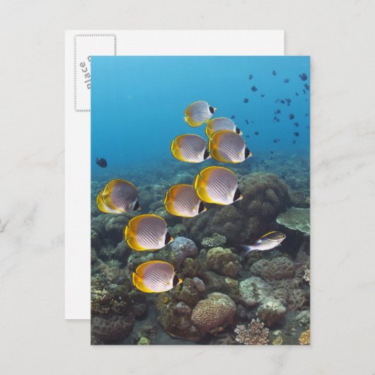 Bali, Indonesien Postkarte (Vorne/Hinten)