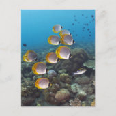 Bali, Indonesien Postkarte (Vorderseite)