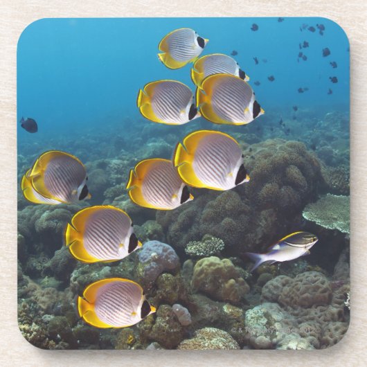 Bali, Indonesien Untersetzer (Vorderseite)