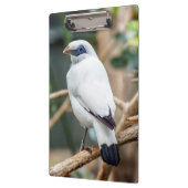 Bali Myna Bird Clipboard Klemmbrett (Links)