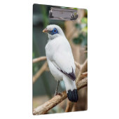 Bali Myna Bird Clipboard Klemmbrett (Rechts)