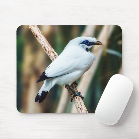 Bali Myna Bird Mousepad (Mit Mouse)