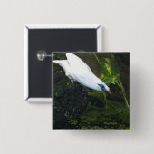 Bali Myna Button (Vorne & Hinten)